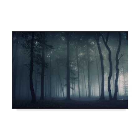 TRADEMARK FINE ART Photocosma 'Mysterious Dark Forest' Canvas Art, 30x47 1X07308-C3047GG